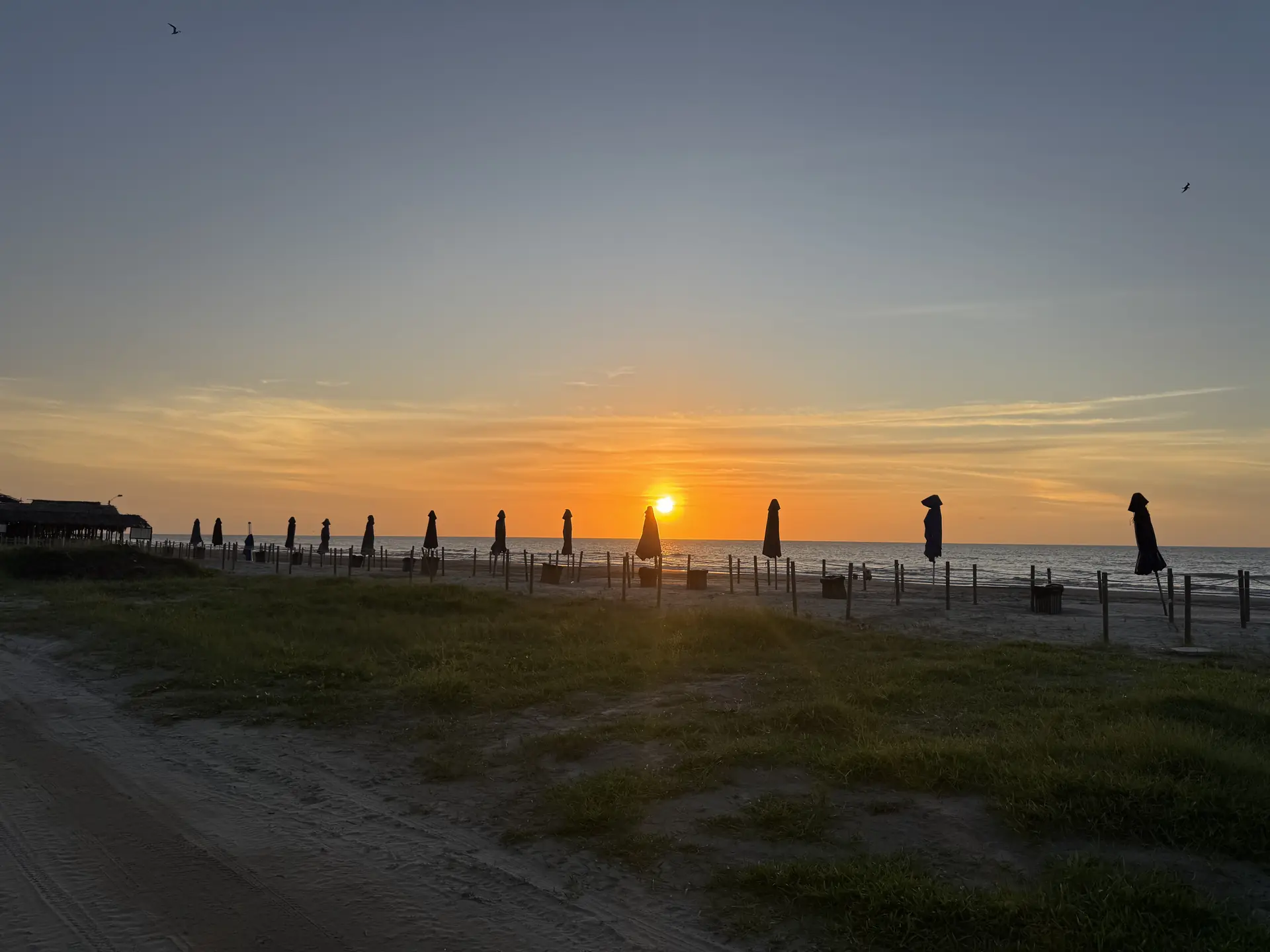 El cielo se incendia en oro y nadie más lo está viendo así